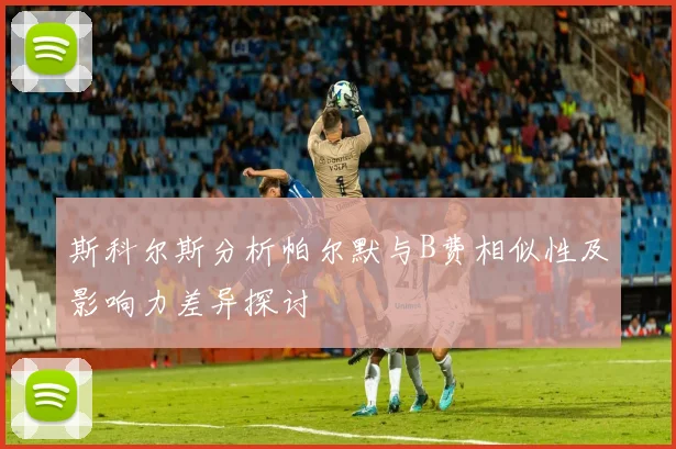 斯科尔斯分析帕尔默与B费相似性及影响力差异探讨