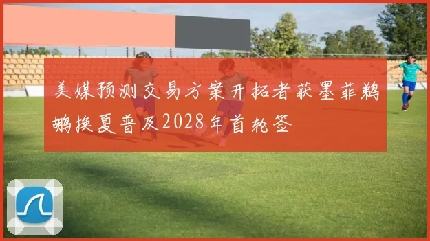 美媒预测交易方案开拓者获墨菲鹈鹕换夏普及2028年首轮签